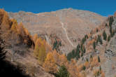 20091101_131454 Monte Cardine.jpg